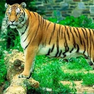 Meet your Posher, Javier